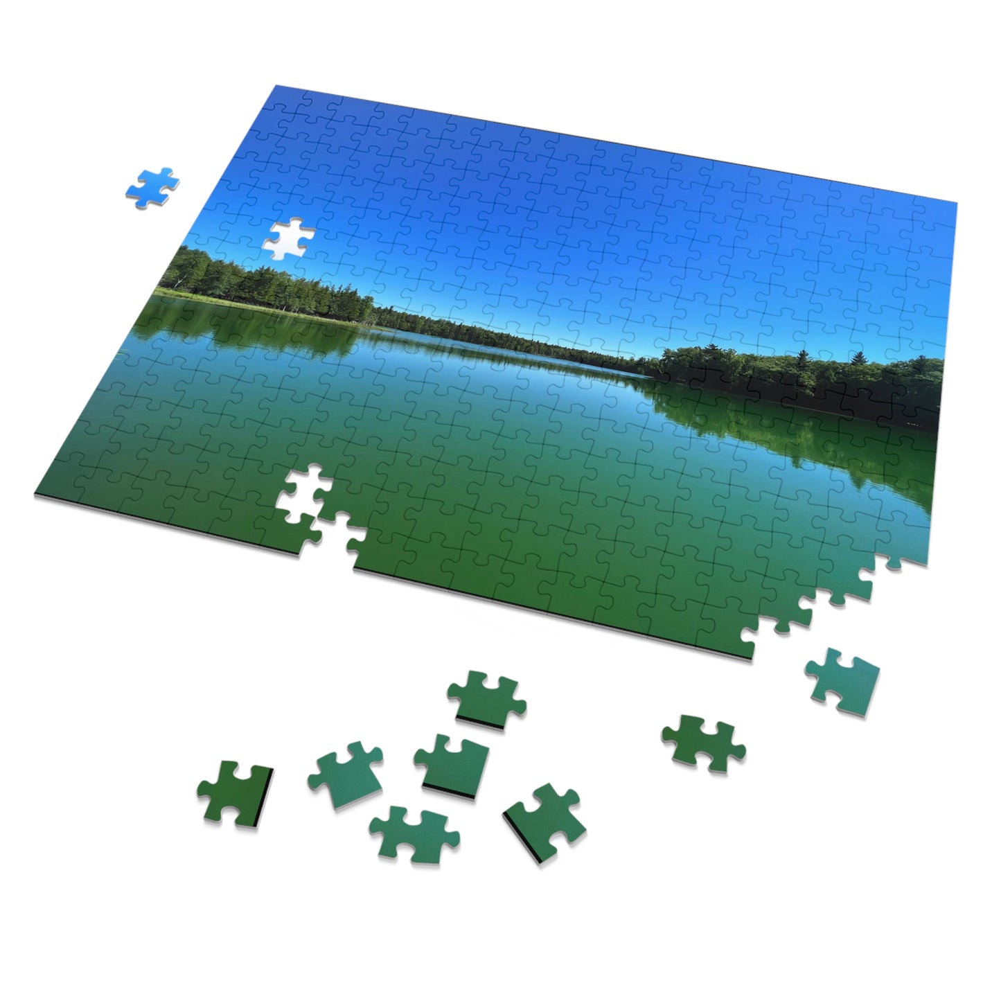 Jigsaw Puzzle (30, 110, 252, 500,1000-Piece)